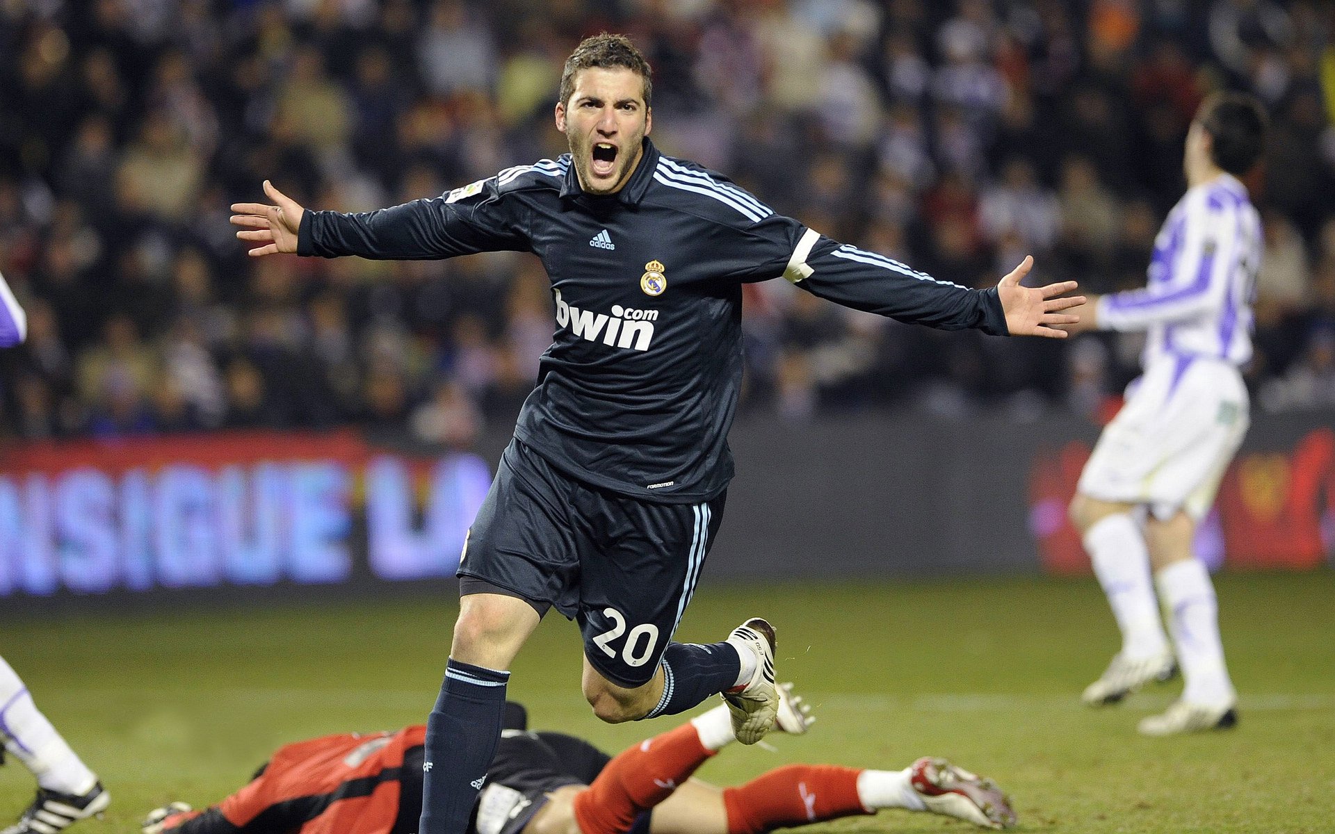 亚历克斯·格林伍德凭借全面的防守技巧，为袋鼠队建立坚实后防